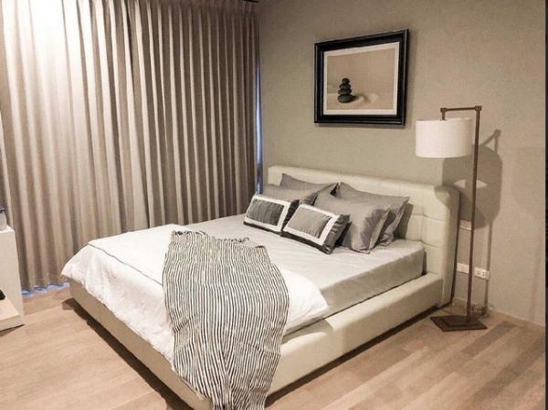 �Ҵ����� �� Jyn Property