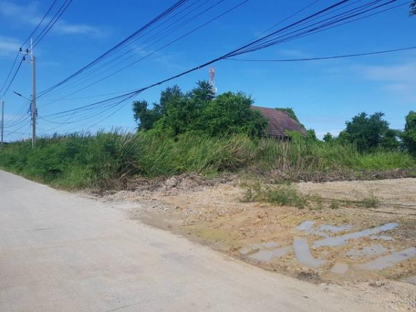 ��طû�ҡ�� �� Jyn Property