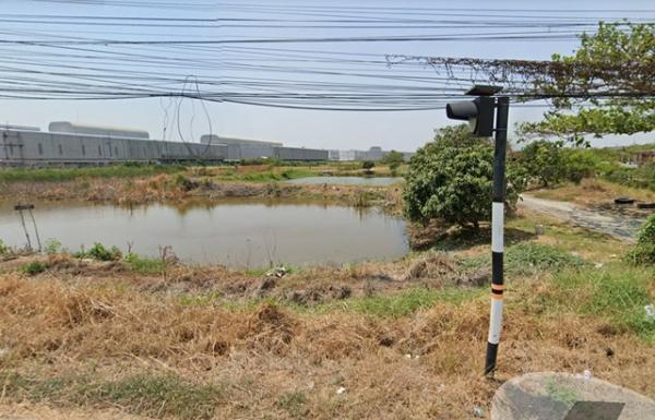 ���Թ 38 ���