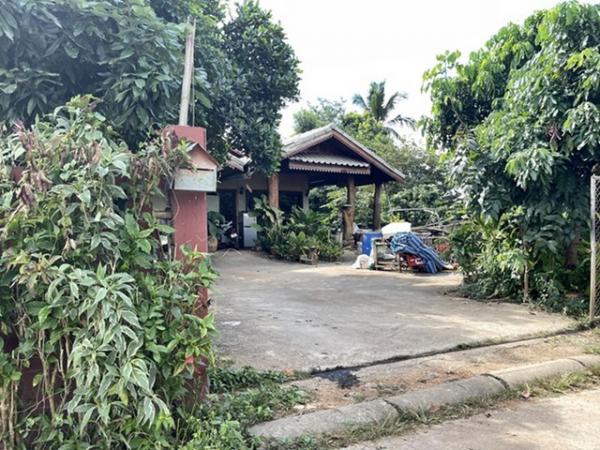 ��� �� compos2566