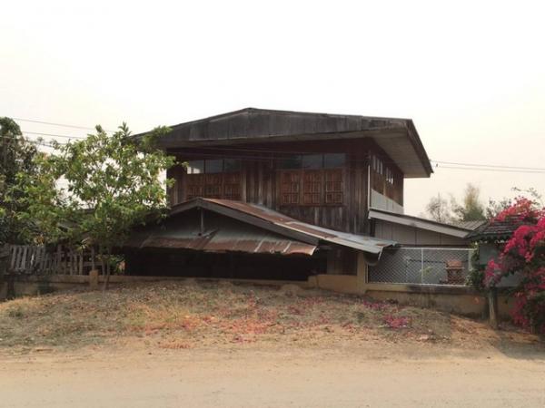 ��¾���� �� panaya.opalopal