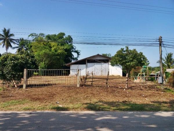 ��¾���� �� panaya.opalopal