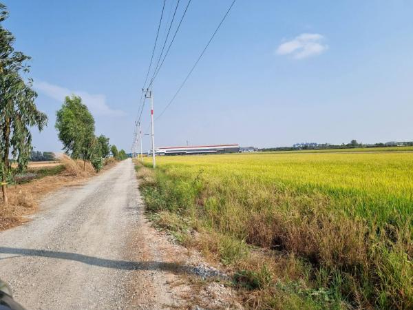 ��¡�ا෾ �� nanthakan4