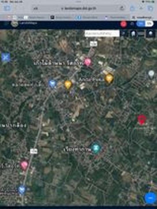 �ѹ��ҵͧ �� tayapornaik1