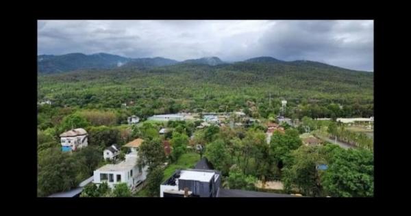 �͹� 37 ���ҧ�� ���������