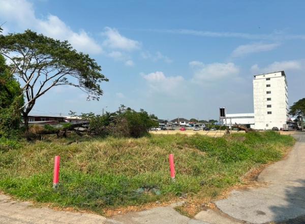 ��»����� �� Nan