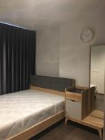 �����Ҥ͹� ���⢹�