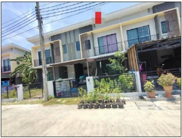 ��¹������ �� compos2566