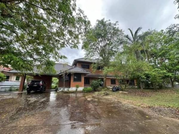 �ҧ�� �� northern1