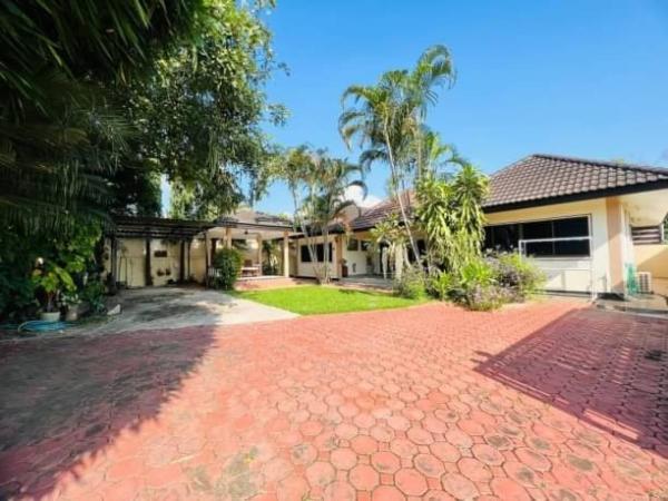 ��ҹ 4,950,000 �ҷ ��§����