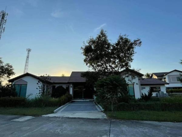 �ź��� �� coasset22