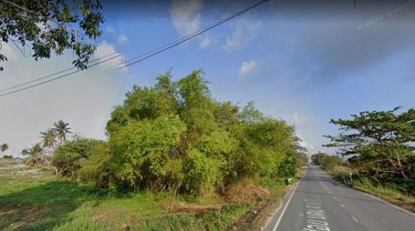 ���ͧ �� coasset22