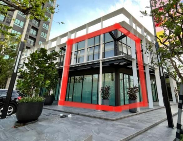 ��ѡ��� �� Nan