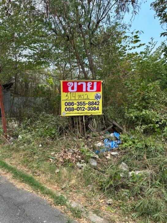 �ҧ�л� �� zionasset1