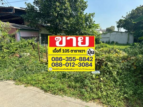 �ҧ�л� �� zionasset1