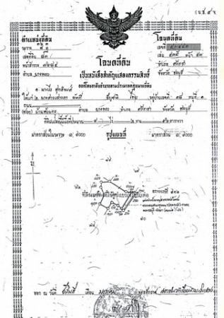 ����Ҫ� �� sopa