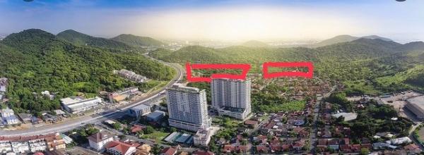 ����Ҫ� �� sopa