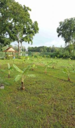 �оҹ�٧ �� khunnan56