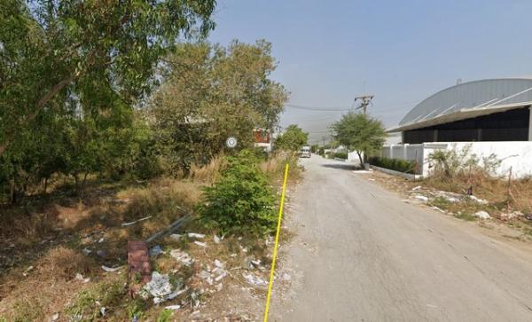 ��»����ҹ� �� may