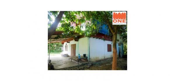 ��º�ҹ ���ͧ��¹ҷ��¹ҷ