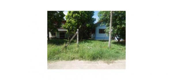 ��º�ҹ ���ͧ��¹ҷ��¹ҷ