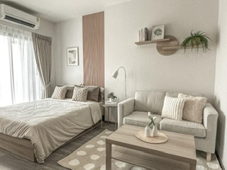 �͹����������ú ���⢹�