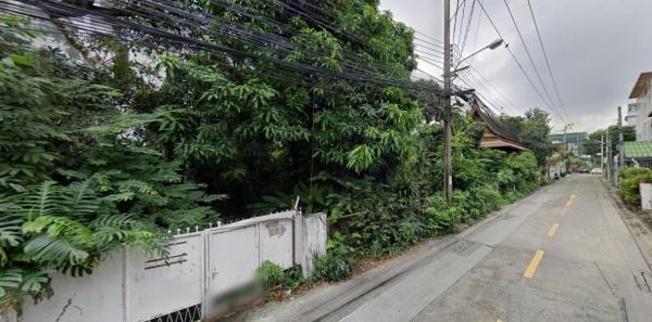 ����Ѳ�� �� HarrisonTH