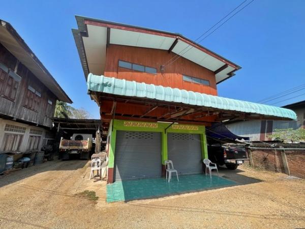 ������ �� panaya.opalopal