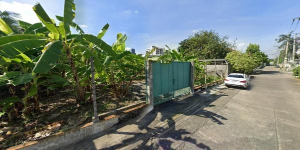 �ǹ��ǧ �� HarrisonTH