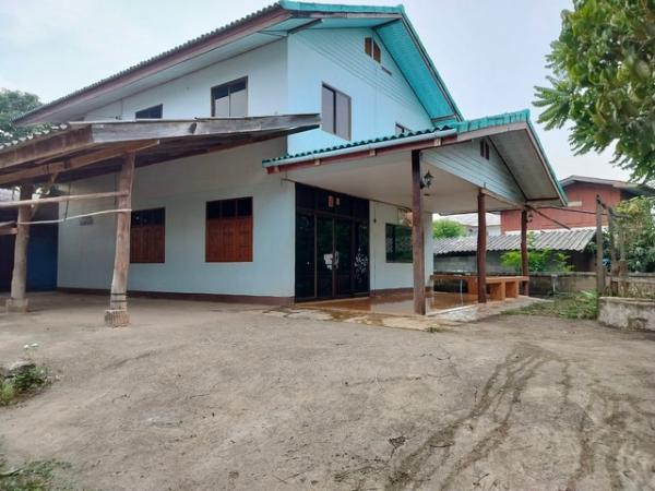 ��¾���� �� panaya.opalopal