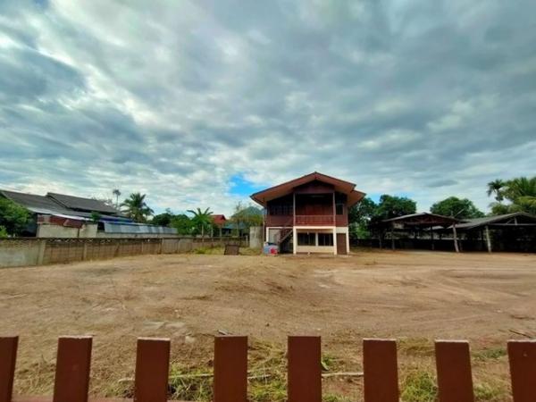 ����� �� compos2566