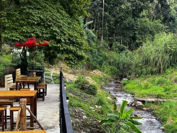 ������� �� onanong khumaphao