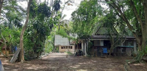 �ѹ����� �� rattana27