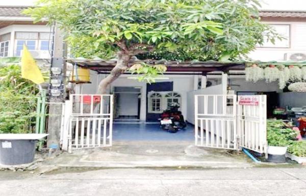 ���¢�ҧ �� calcunutgq