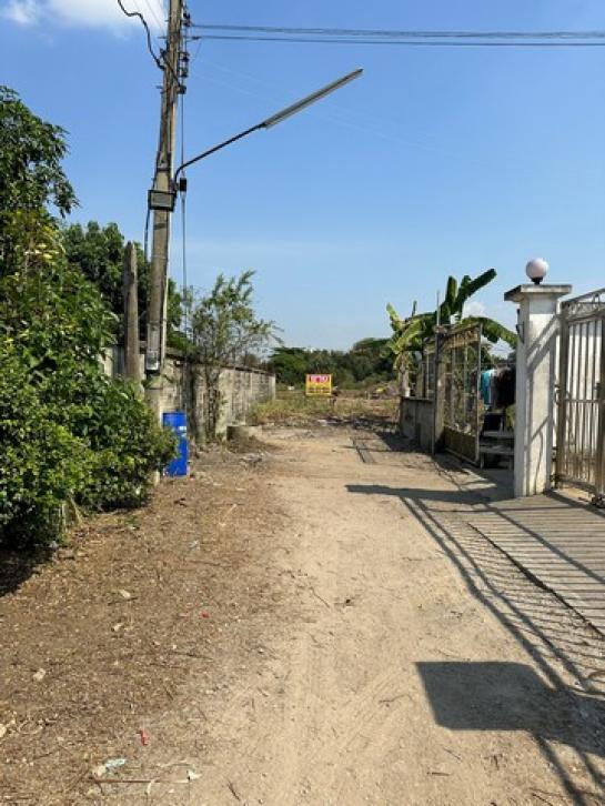 ��û�� �� zionasset1