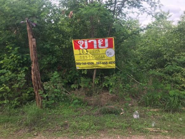 ������ �� zionasset1