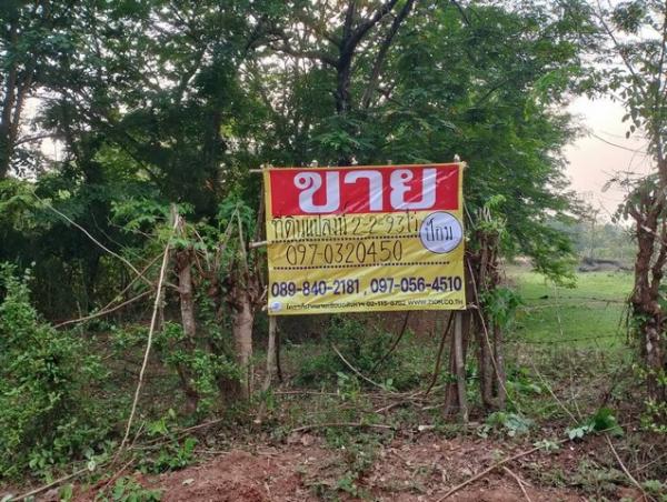 ˹ͧ��� �� zionasset1