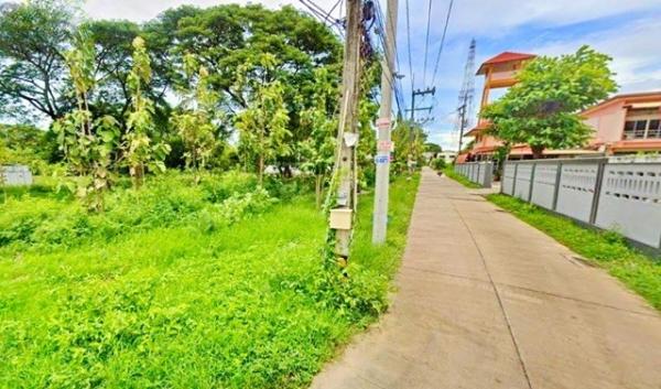 �ҧ���ا �� nut.allentrepreneur