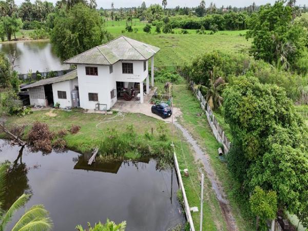 ��¹�û�� �� pazarestate1