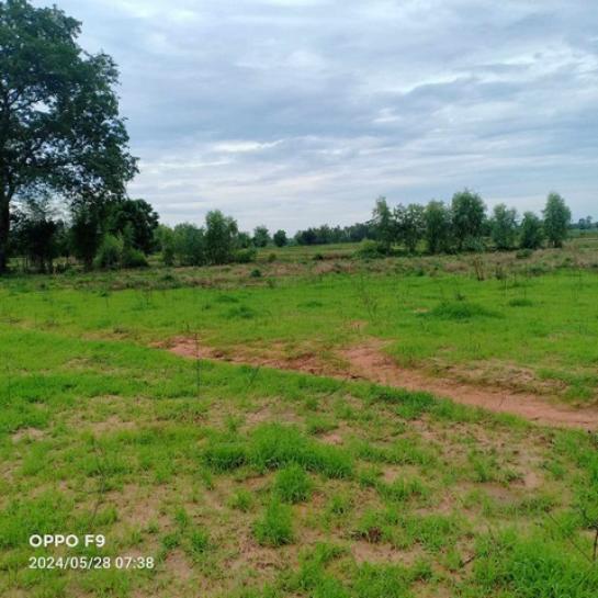 �͹�� �� sopa