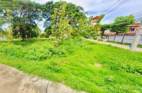 �ҧ���ا �� calcunutgq