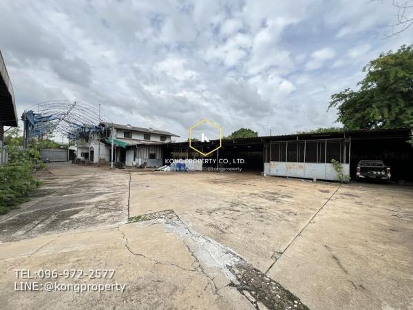 ����Ѳ�� �� Kong property