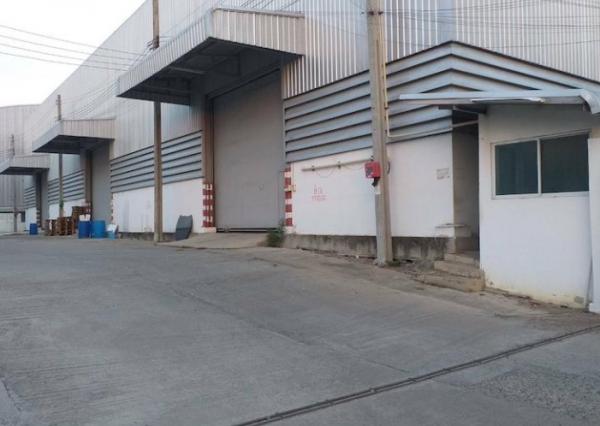 �оҹ�٧ �� Nan