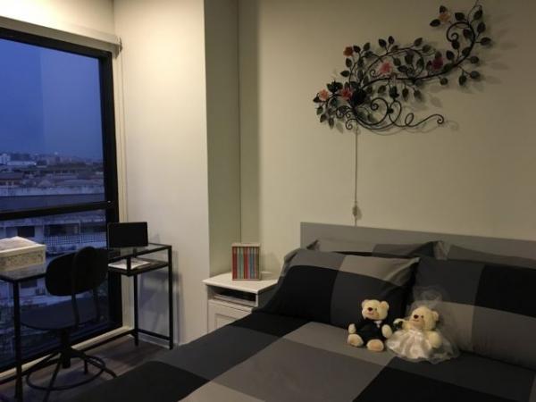 ��ºҧࢹ �� ���പ