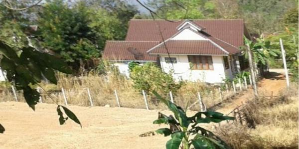 ���ᵧ �� domepost66