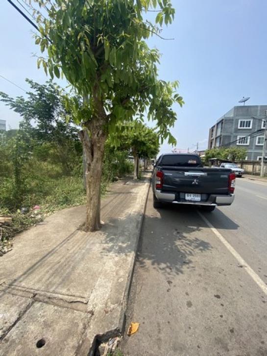 �����ѡ �� sopa