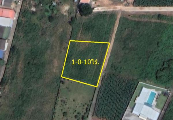 �ҧ���ا �� Patkorn