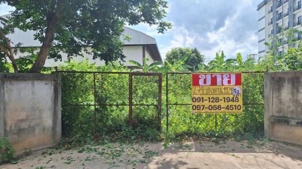 �͹�� �� zionasset1