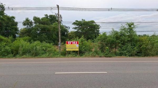 �͹�� �� zionasset1