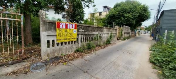 ������ �� zionasset1